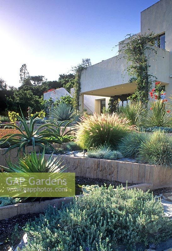 Raised beds in modern garden - Montecito, California, USA 
