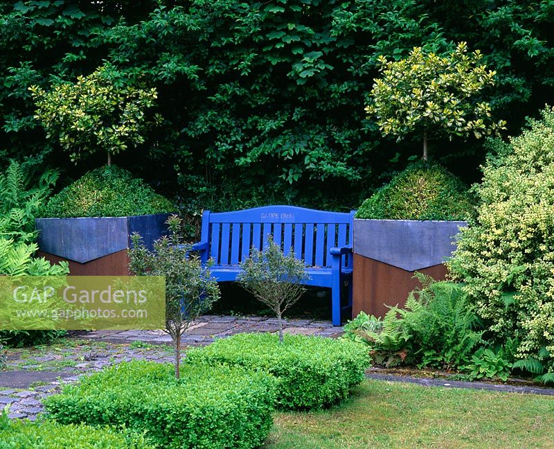 Blue bench with lead and rusty metal containers beside, planted with holly and box - Ridler's Garden, Swansea, Wales