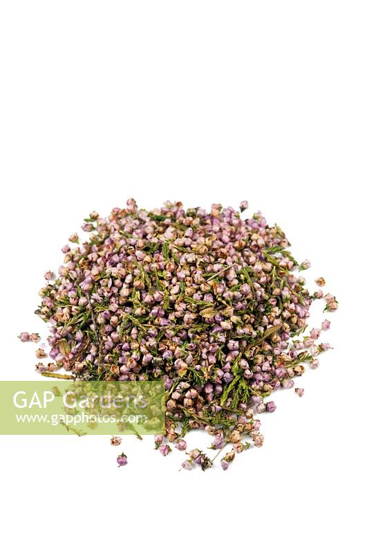 Calluna vulgaris - Heather flowers. This is used in Herbal medicine for coughs and colds as well as to treat kidney infections and infections of the urinary tract. It is used in homeopathy to treat rheumatism and arthritis