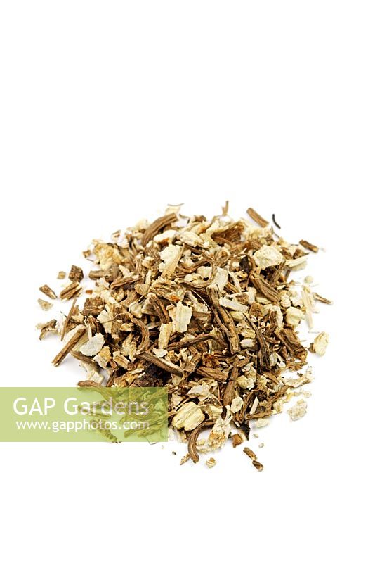 Levisticum officinale - Loveage root. This herb is used in Herbal medicine for indigestion, menstrual complaints, colic, digestive problems as well as for kidney stones.