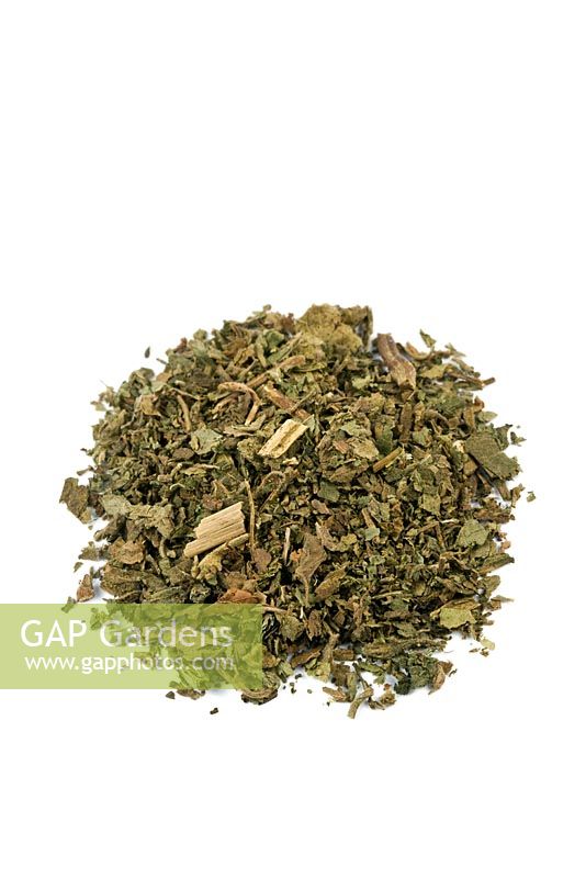 Pogostemon cablin syn Pogostemon patchouli - Patchouli. This is used in Herbal medicine for treating colds, headaches, diarrhoea, nausea and for lowering fever. Also use in aromatherapy for nervous complaints and depression.
