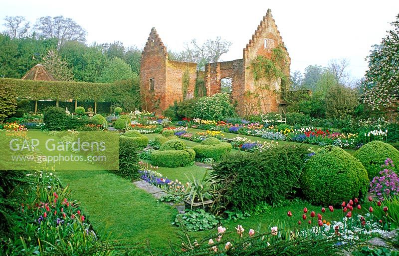 Chenies manor garden in spring with tulips 