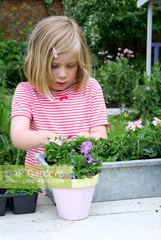 Young girl planting windowbox with bedding plants in garden 