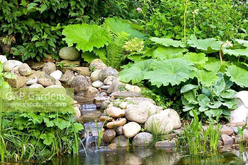 Small cascading water feature with Darmera peltata growing in backgound