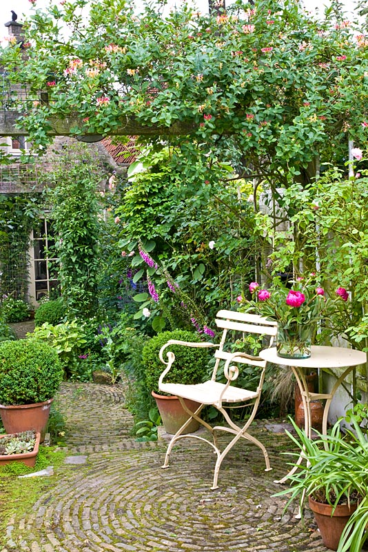 Seating area in rustic courtyard garden with clipped Buxus balls in terracotta pots and pergola with Lonicera