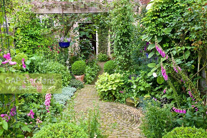 Small rustic courtyard garden with pergola and Buxus standards in terracotta pots
