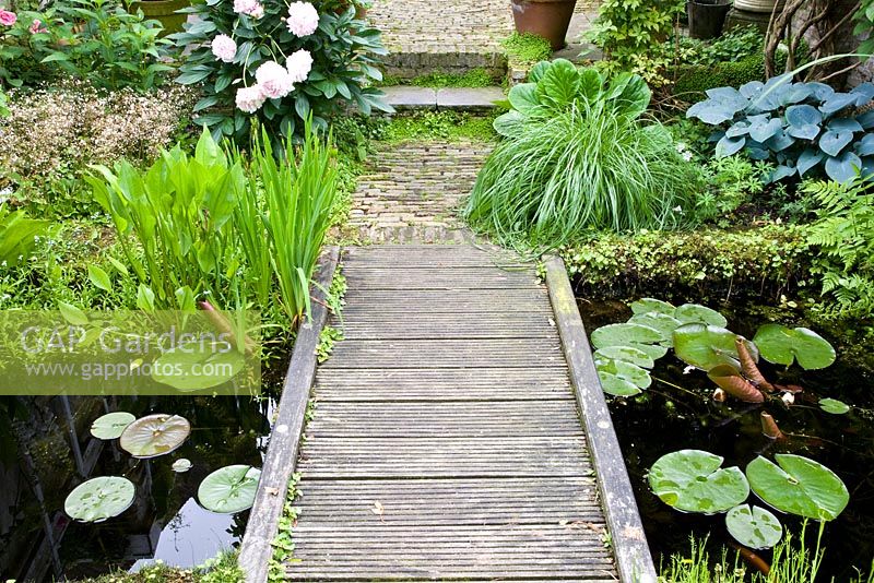 Wooden pathway across a pond