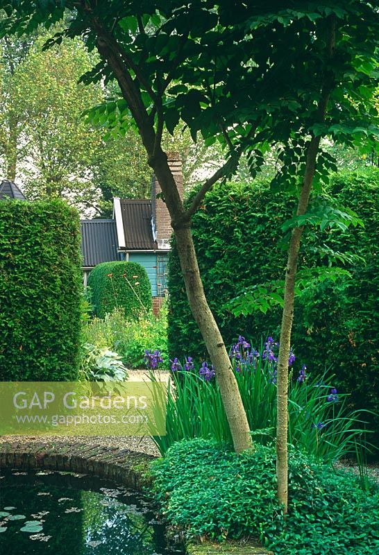 House viewed through gap in hedge from pond area and trees - Holland