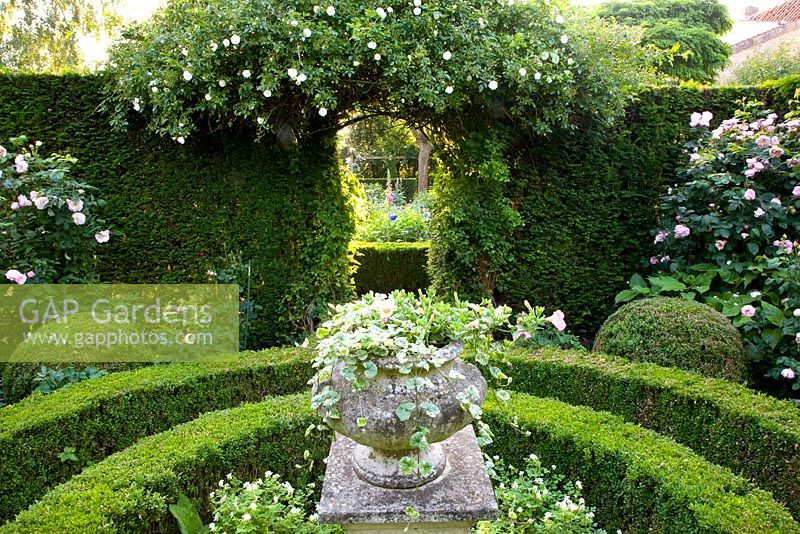 Formal rose garden with stone ornament and low clipped hedges in formal country garden