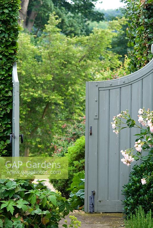 Wooden painted gate in a Beech hedge leading out of the garden - Ousden House
