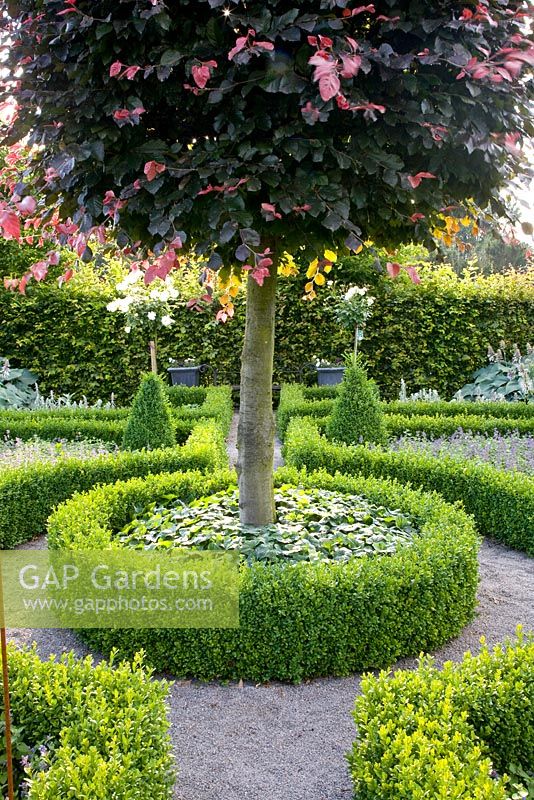 Formal garden with paths around central tree