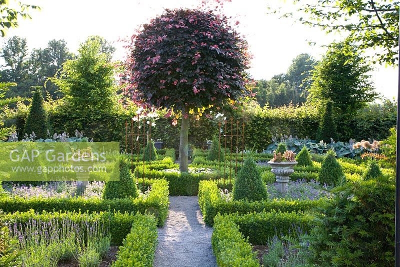 Formal garden with low evergreen hedges and path leading to central tree
