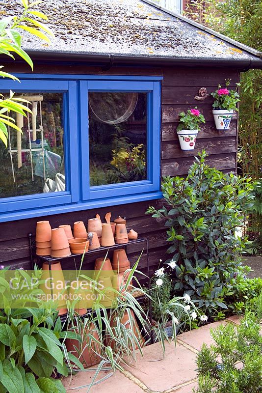 Wooden shed, blue painted windows with terracotta pots piled up outside