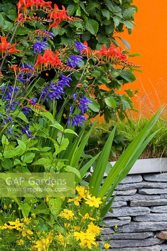 Low slate walls contrast orange painted wall and planting of Crocosmia and Campanula - The Spirits' Garden - RHS Hampton Court Flower Show 2008