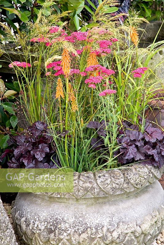Stone container with Kniphofia, Achillea and Heuchera 