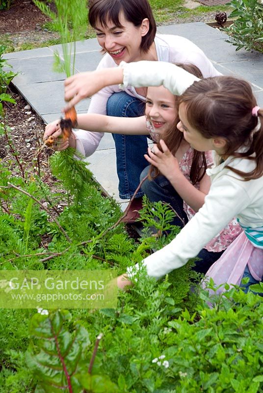 Girls helping Sue in vegetable patch