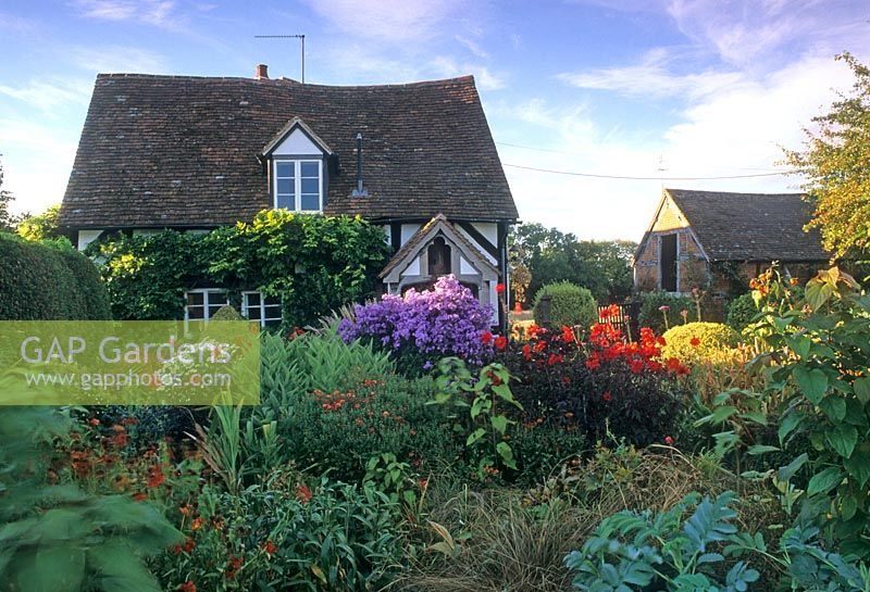 Autumn flowerbeds in cottage garden with Aster, Dahlia, Canna, Helenium and Phlox - Eastgrove Cottage, Worcs