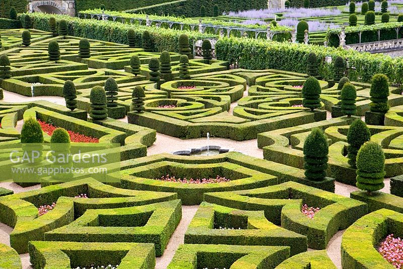 Formal gardens with trained Buxus hedging and topiary at Chateau de Villandry, France