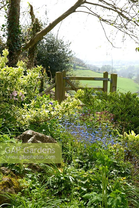 Spring flowers and gate with view across countryside