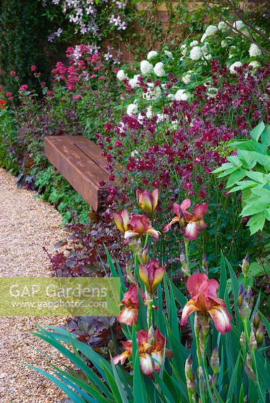 Iris and Aquilegia surrounding a wooden seat with gravel path - The Largest Room in the House Garden, RHS Chelsea Flower Show 2008