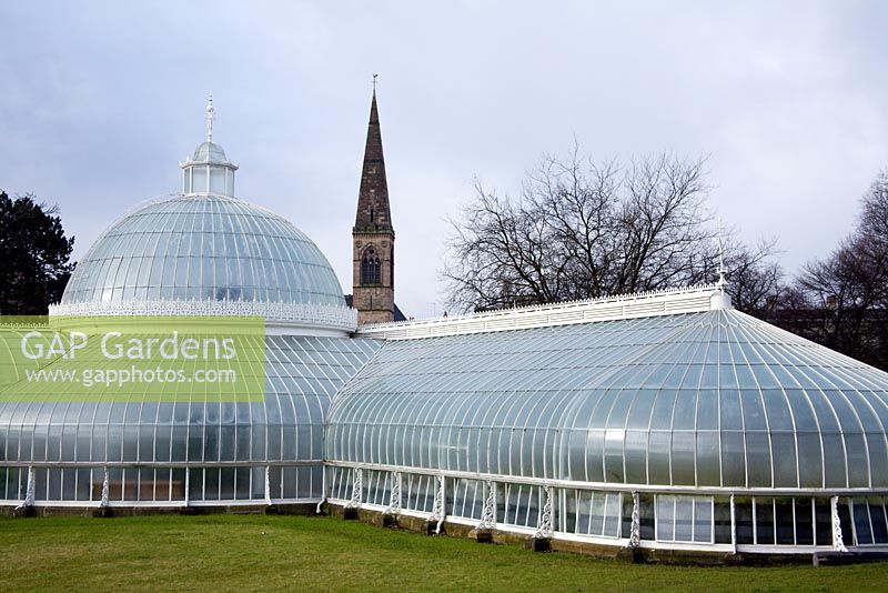 Glasgow Botanic Gardens 2008