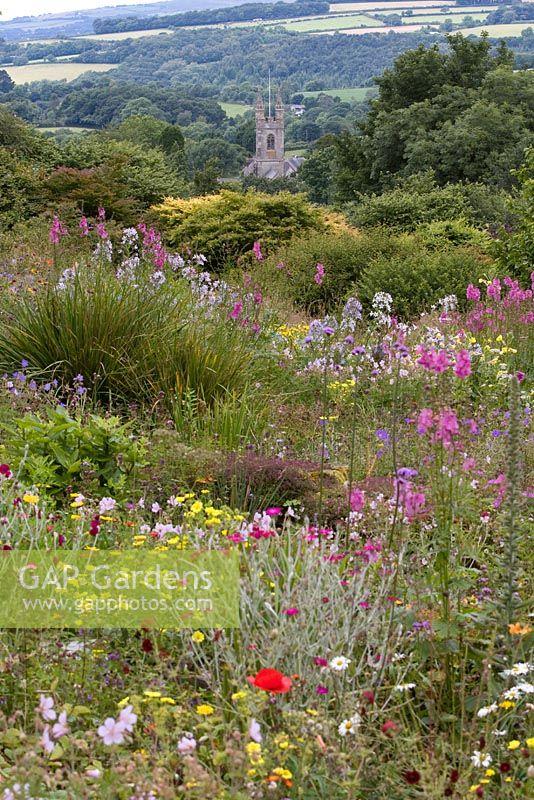 Meadow planting at The Garden House , Buckland Monachrorum, Devon. Church in the distance forms focal point. 
