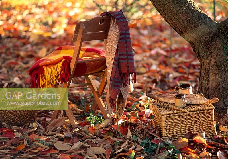 Picnic set up in autumn