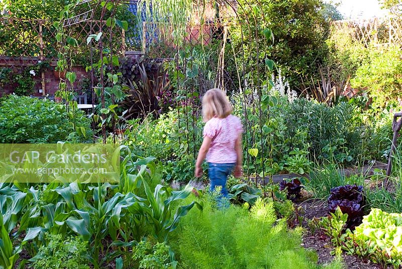 Child walking through enclosed vegetable garden