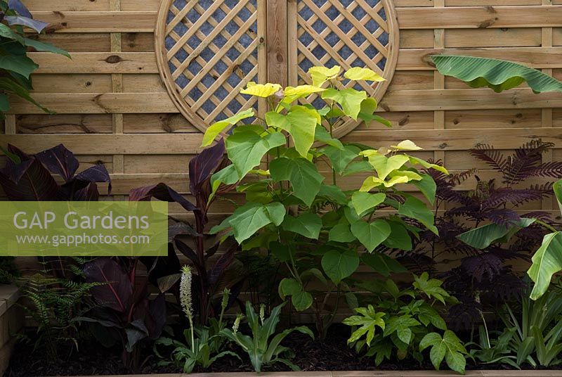 Decorative fence panelling with border in 'The Plant Hunter Returns' garden by Simon Norris at the Southport Flower Garden 2008
