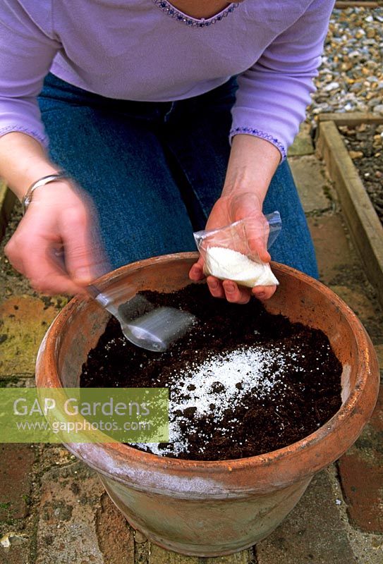 Adding water retaining granules to container compost before planting