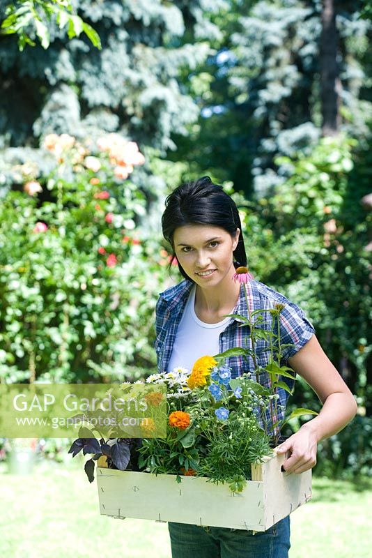 Woman in garden holding box of mixed plants and flowers