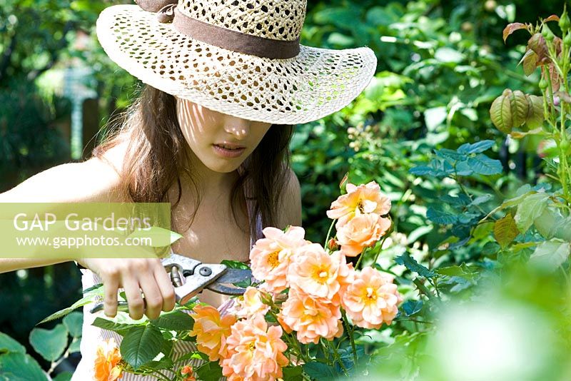 Woman cutting flowers