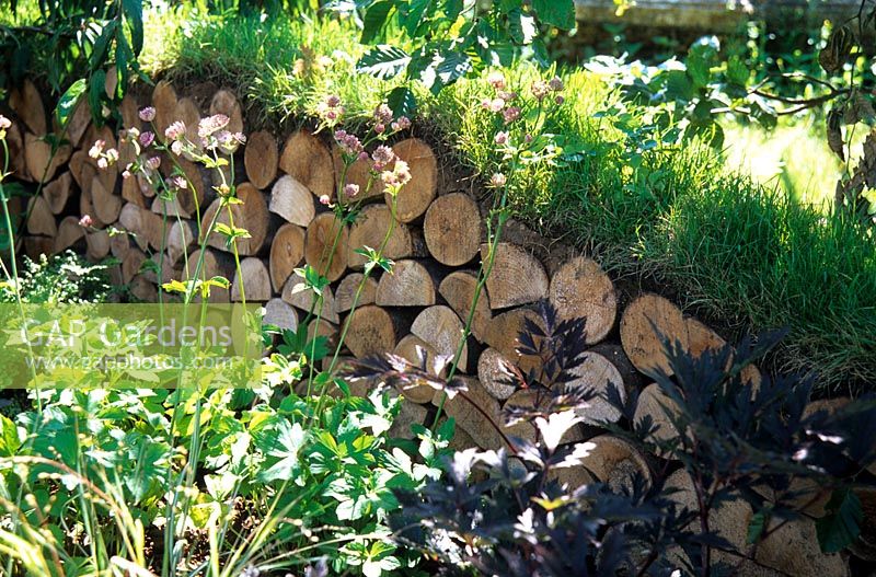 Turf covered log wall as a wildlife haven in the 'Four Winds Garden', RHS Hampton Court Flower Show