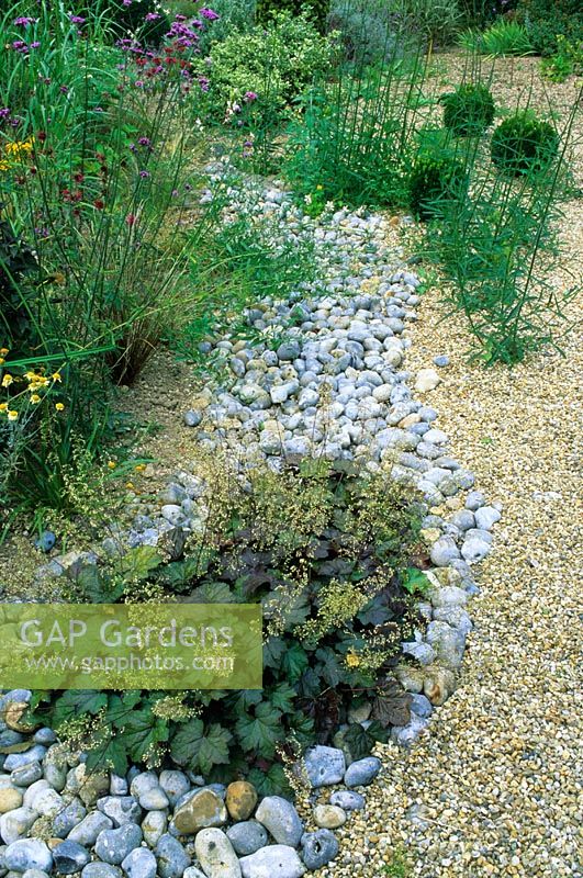 Garden in August with Heuchera planted in gravel and pebbles in 'dry river bed' style. Designed by Alan Titchmarsh at Barleywood, Hampshire.