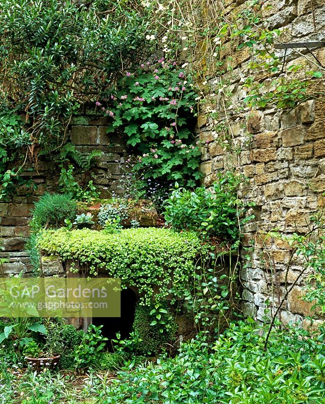 Well in Victorian walled courtyard garden
