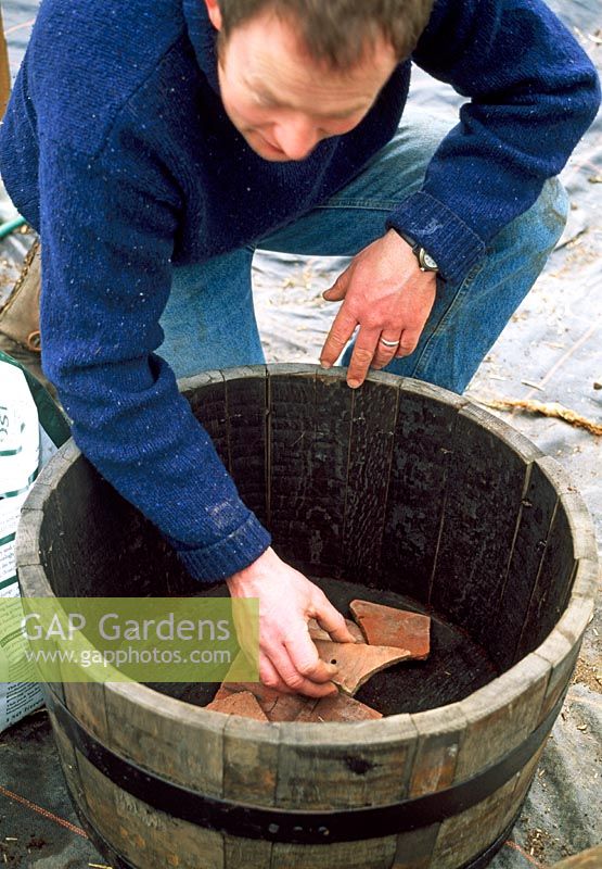 Man putting broken terracotta shards in bottom of wooden barrel to aid drainage, before planting it up