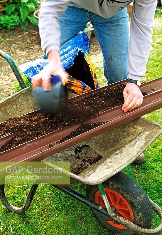 Man filling guttering with compost before 
sowing row of lettuce seeds