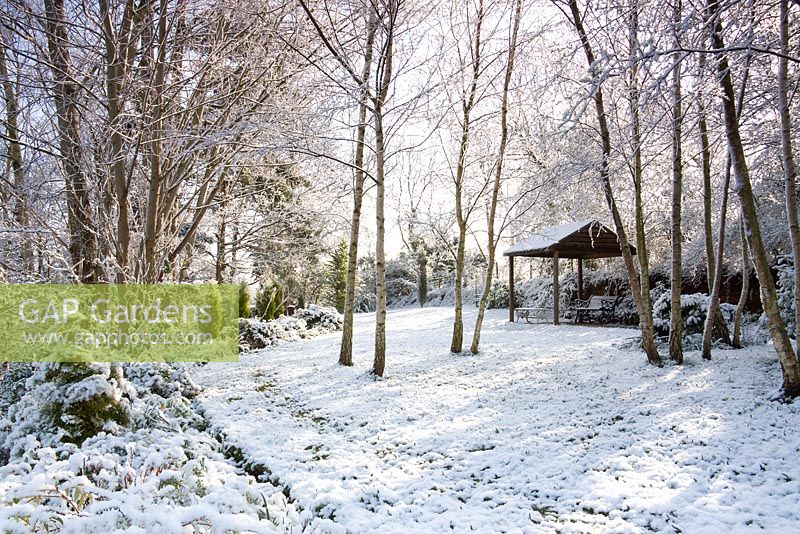 Birch trees and gazebo in the snow at Honeybrook House Cottage, Worcestershire
