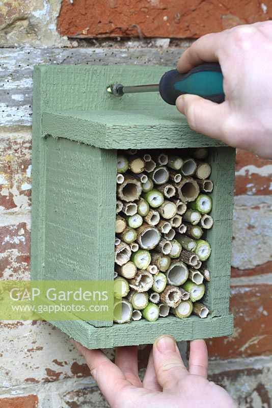 Step by step 7 of making a bug house for hiberating insects out of reclaimed timber - Putting up the bug box on a sheltered wall