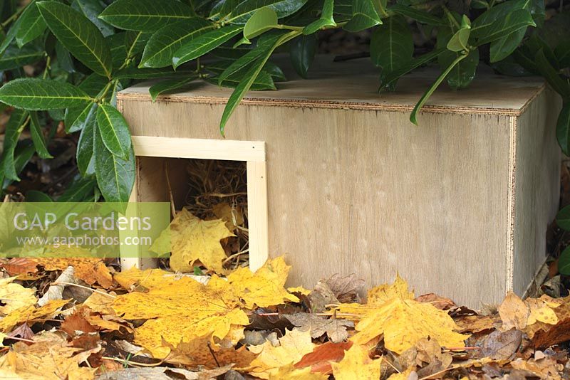 Step by step 10 of making a hedgehog house - The finished wooden box in sheltered garden spot beneath shrubs