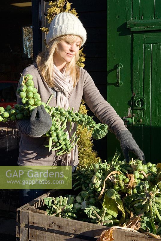 Woman buying Brussels sprouts at farm shop