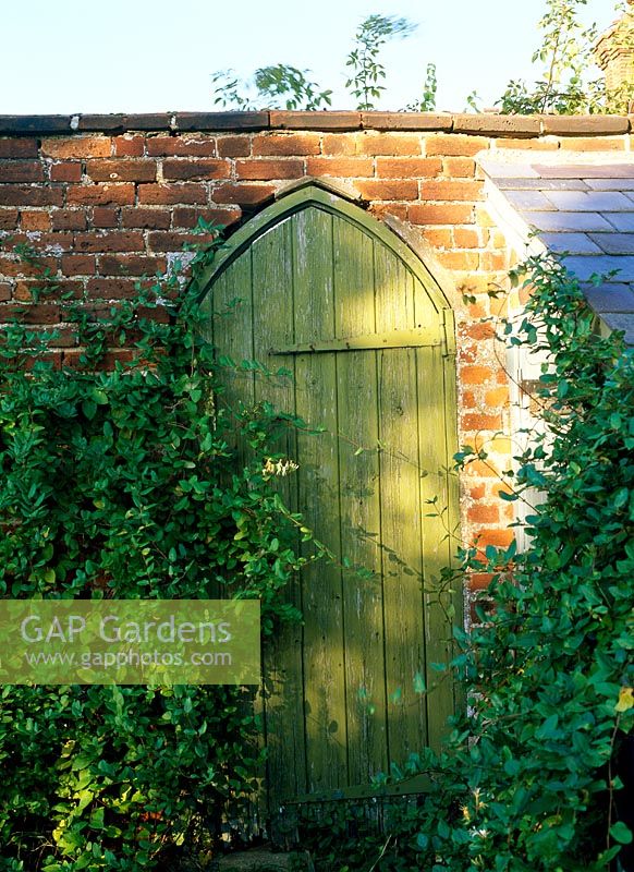 Gothic wooden garden gate set in old brick wall - Horkesley Hall, Essex