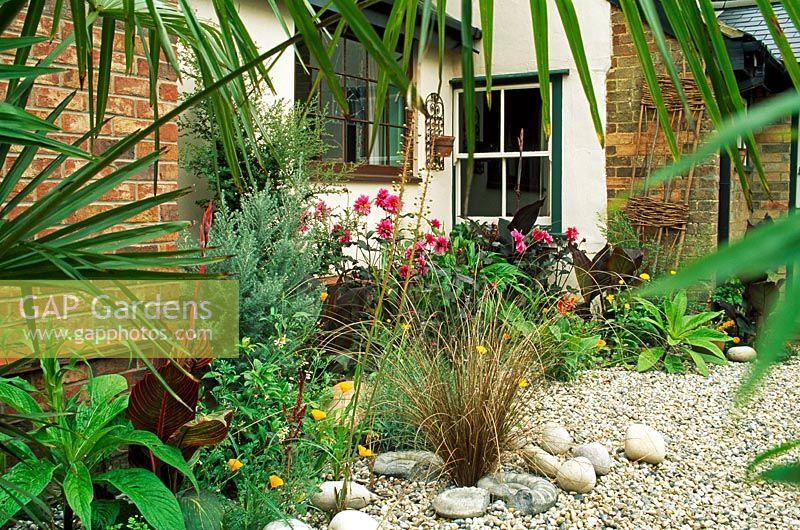 Mistletoe House - Courtyard Tropical garden