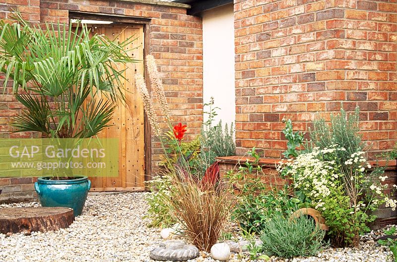 Mistletoe House - Courtyard tropical garden
