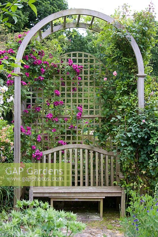 Rose arbour and hardwood bench 