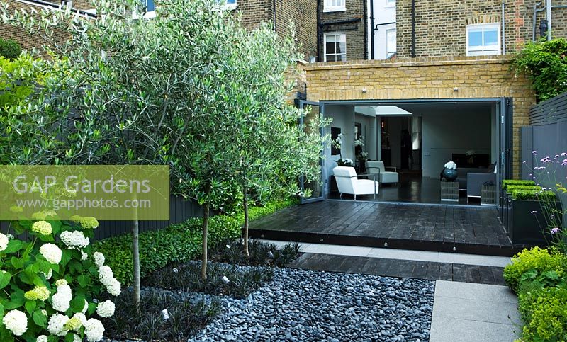 Small contemporary garden with black stained deck and Catalpa underplanted with  Ophiopogon set into grey polished pebbled patio area - London