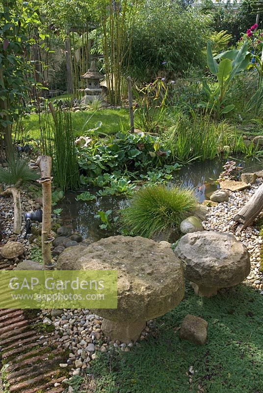 Stone mushrooms with Thymus praecox at their base in front of small pond with lush planting including Pistia stratoides and Scirpus cernuus. Beyond, Musella lasiocarpa with Phyllostachys nigra, Phyllostachys aurea and Fargesia rufa surround Japanese lantern - 'Casa Lago' NGS garden, Whalley, Lancashire