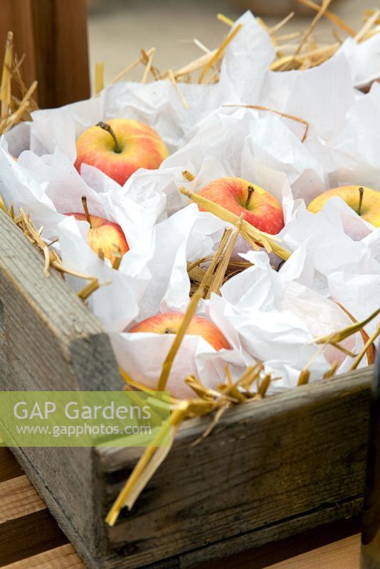 Apples packed in paper and wooden boxes for storage 