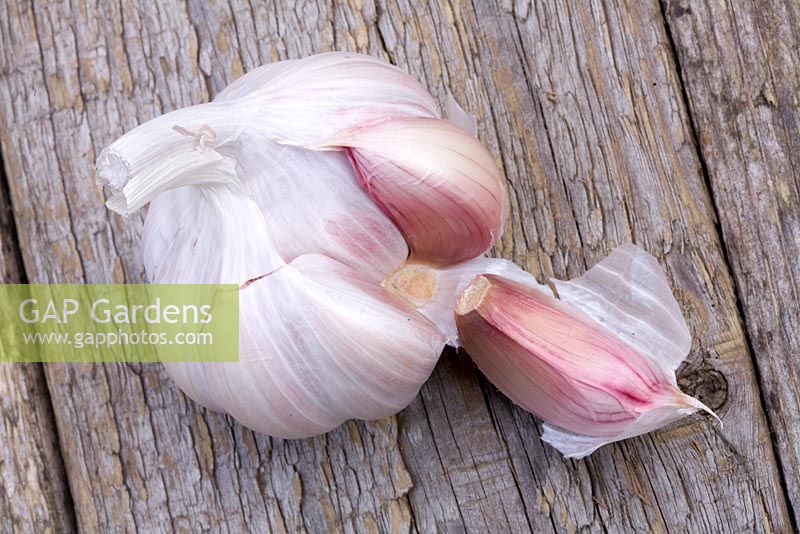 Garlic bulb with a garlic clove