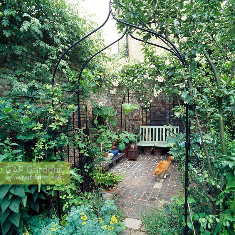 Private London garden with bench, metal arch entrance and cat